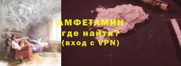 гидра Краснослободск