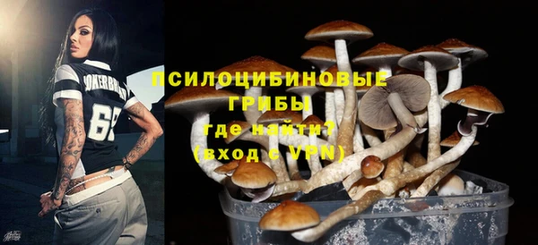 мет Лагань