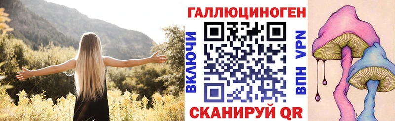 Галлюциногенные грибы Psilocybe  Красный Кут 
